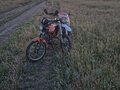 2019 BSE PH 150, белый, 70000 рублей - вид 1