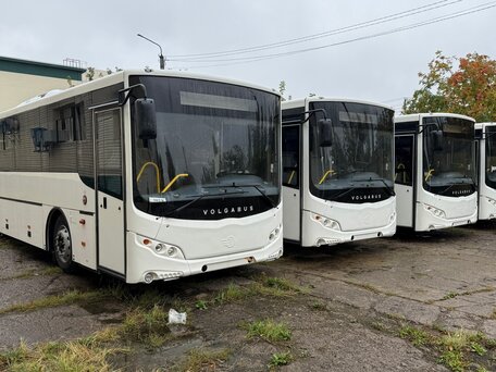 2025 Volgabus Серпантин D, белый, 11200000 рублей, вид 1