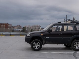2010 Chevrolet Niva I Рестайлинг, коричневый, 400000 рублей, вид 1