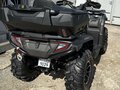 2024 CFMoto CFORCE 600 Advanced EPS, серый, 910000 рублей - вид 3