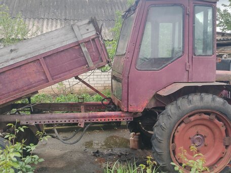 1985 ХТЗ Т-16, красный, 170000 рублей, вид 1