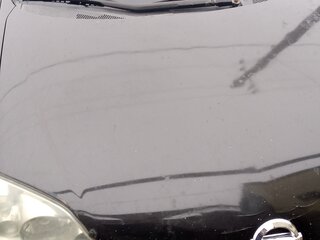 2004 Nissan Primera III (P12), чёрный, 380000 рублей, вид 5