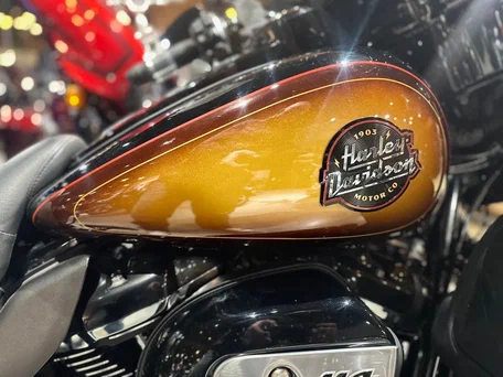 2024 Harley-Davidson Ultra Limited, коричневый, 3700000 рублей, вид 2