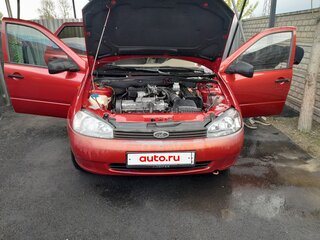 2009 Lada (ВАЗ) Kalina I, красный, 240000 рублей, вид 1