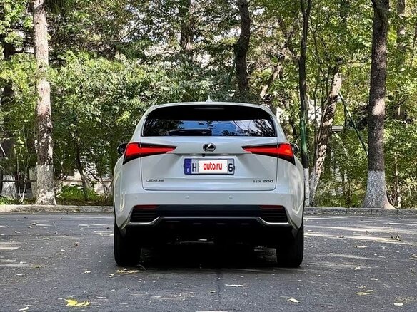 2020 Lexus NX 200 I Рестайлинг, белый, 2764000 рублей - вид 5