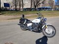 2004 Yamaha XVS650 Drag Star, белый, 480000 рублей - вид 11