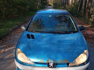 2002 Peugeot 206, синий, 95000 рублей, вид 2