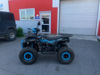 2026 Другие Мотовездеходы (другие), синий, 101400 рублей, вид 2