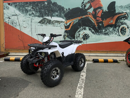 2026 Tao Motor Hunter 125, белый, 89500 рублей, вид 1