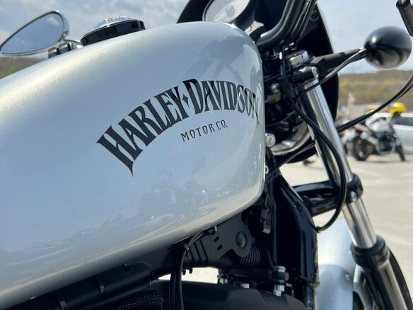 2015 Harley-Davidson Sportster 883, серебристый, 720000 рублей - вид 8