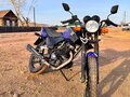 2023 Racer Tiger, синий, 95000 рублей - вид 1