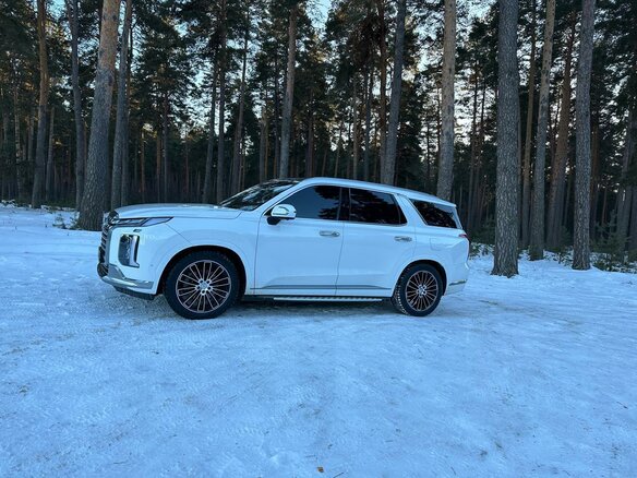 2022 Hyundai Palisade I Рестайлинг, белый, 5920000 рублей - вид 8
