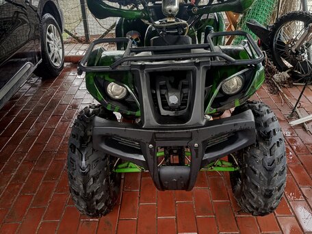 2013 Bison EVO, зелёный, 70000 рублей, вид 1