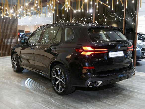 2026 BMW X5 Long 30Li IV (G05/G18) Рестайлинг, серый, 10220000 рублей - вид 6