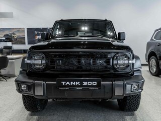 2026 Tank 300 I, чёрный, 5249000 рублей, вид 2