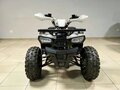 2026 Motoland ATV 150 Wild, чёрный, 145100 рублей - вид 1