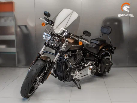 2019 Harley-Davidson Breakout, коричневый, 2044036 рублей, вид 3