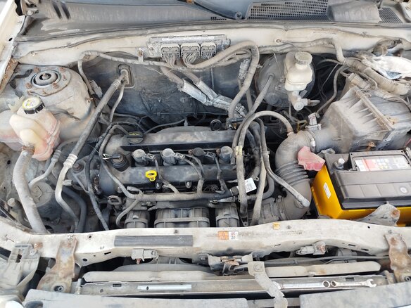 2010 Ford Escape II, белый - вид 1