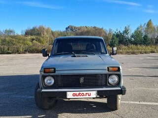 2004 Lada (ВАЗ) 2131 (4x4) 213105 I, серый, 320000 рублей, вид 2