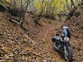 2020 Bajaj Avenger, чёрный, 190000 рублей - вид 1