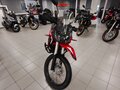2026 Loncin DS250, красный, 258000 рублей - вид 4