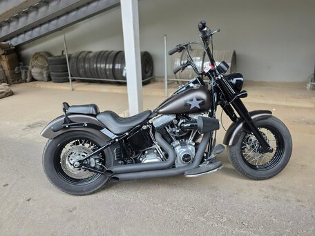 2015 Harley-Davidson Softail Slim, серый, 985000 рублей, вид 1