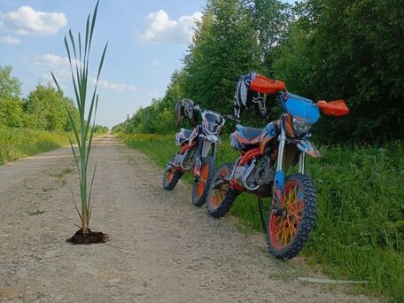 2023 Kayo Evolution YX125EM, чёрный, 65000 рублей, вид 4