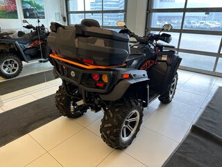 2020 Русская Механика (RM) РМ 800 DUO EPS, чёрный, 759000 рублей, вид 3