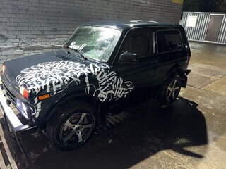 2017 Lada (ВАЗ) 2121 (4x4) I Рестайлинг, зелёный, 700000 рублей, вид 3