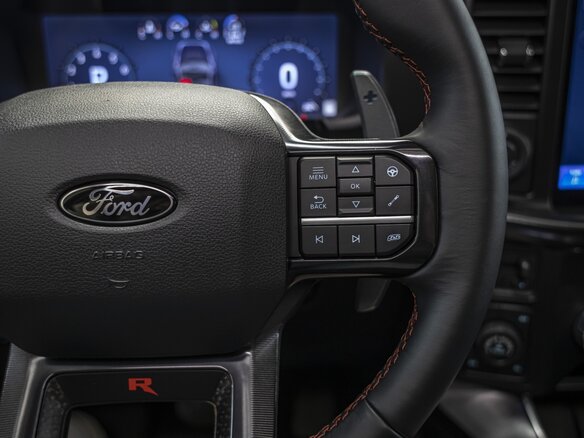 2025 Ford F-150 Raptor XIV Рестайлинг, серый - вид 38