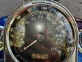 2007 Harley-Davidson Softail Custom, синий, 1100000 рублей - вид 10