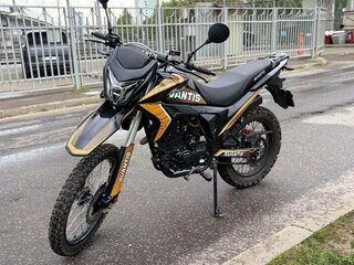 Avantis MT300