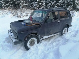 2002 Lada (ВАЗ) 2121 (4x4) I Рестайлинг, фиолетовый, 250000 рублей, вид 1