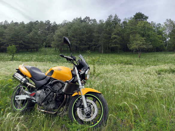 2000 Honda CB 600F Hornet, жёлтый, 339000 рублей - вид 18