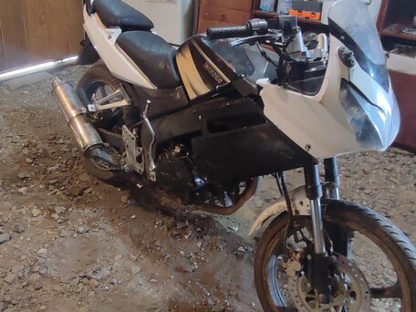 2013 Racer Skyway, белый, 30000 рублей, вид 5