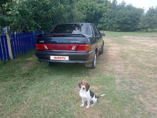 2008 Lada (ВАЗ) 2115, серый, 190000 рублей, вид 4