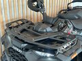 2026 Loncin XWolf 550, чёрный, 817000 рублей - вид 8