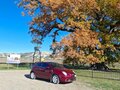 2008 Alfa Romeo MiTo I, красный, 830000 рублей - вид 1