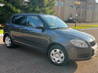 2010 Skoda Fabia II, серый, 860000 рублей, вид 4