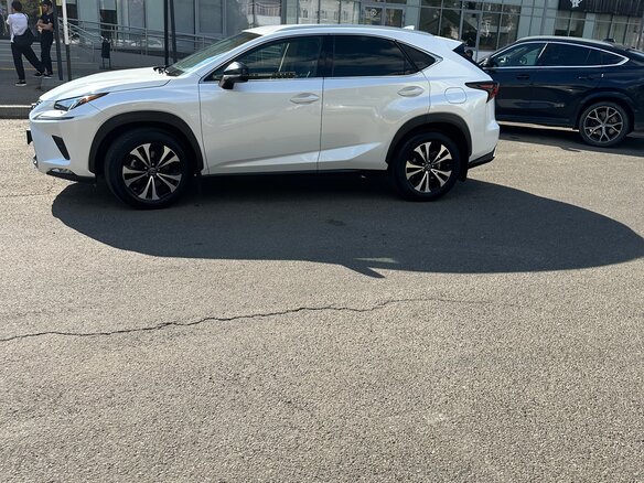 2019 Lexus NX 200 I Рестайлинг, белый, 2790000 рублей - вид 10