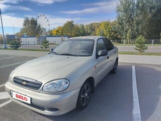 2009 ЗАЗ Chance, серый, 170000 рублей, вид 1