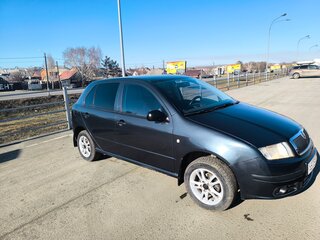 2005 Skoda Fabia I Рестайлинг, серый, 300000 рублей, вид 1