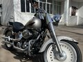 2007 Harley-Davidson Fat Boy, серебристый, 775000 рублей - вид 5