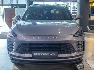 2026 Esteo MX, серый, 3990000 рублей, вид 4