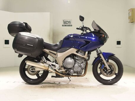 2004 Yamaha TDM900, синий, 425000 рублей, вид 2