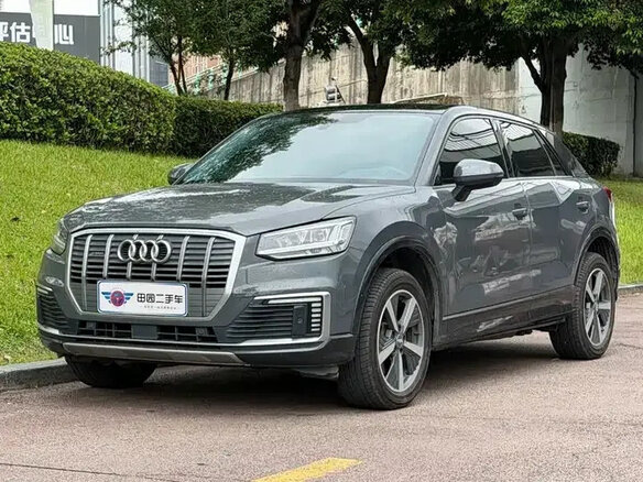 2021 Audi Q2 L e-tron I, серый, 1350001 рублей