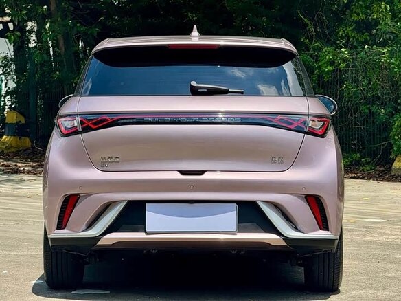 2024 BYD Dolphin 44.9 kWh I, розовый, 1250000 рублей - вид 5