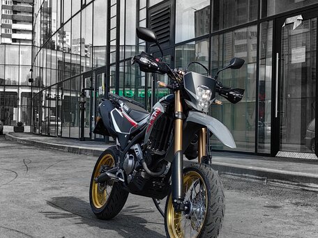 2021 Honda CRF 250L, серый, 600000 рублей, вид 1