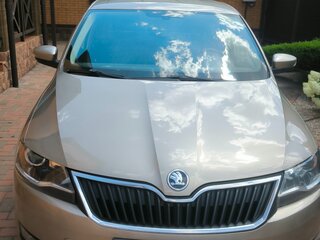 2019 Skoda Rapid I Рестайлинг, коричневый, 1250000 рублей, вид 1