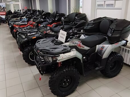 2026 Loncin XWolf 300 Max, серый, 485000 рублей, вид 5